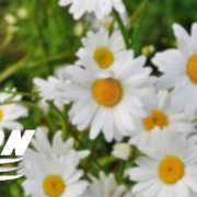 chattanooga hvac regular maintenance