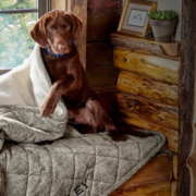 Ready your homes hvac for winter