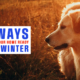 Prepare your homes hvac for cooler weather
